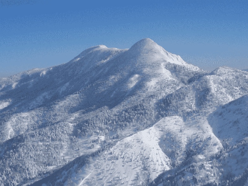 南湖试管婴儿试管三d视频苏州可以做试管