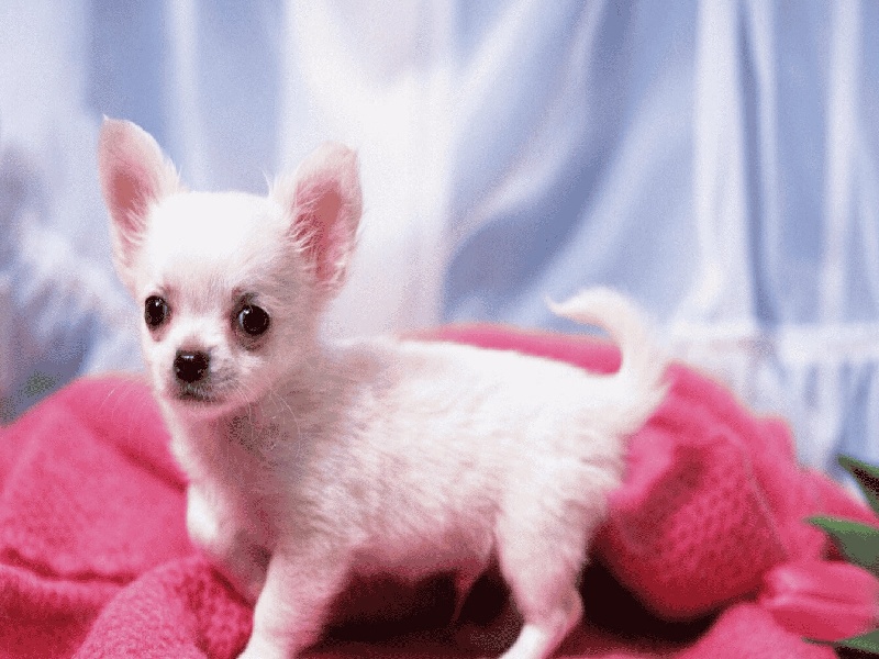 湖南最好试管医院郴州试管中医助孕试管可以早孕吗